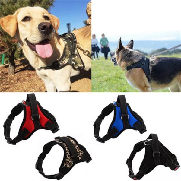 dog collars & leashes large pet harness vest collar adjustable soft walk out hand strap
dog collars & leashes large pet harness vest collar adjustable soft walk out hand strap