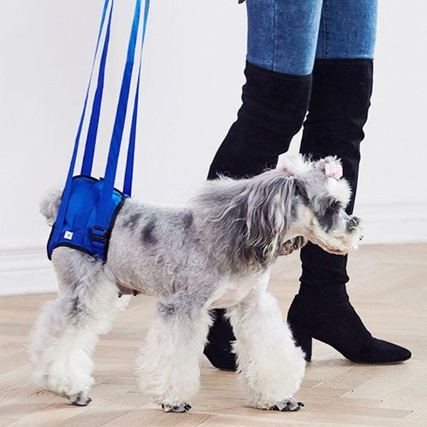 care lift lifting aid harness for dogs full front and back disabled auxiliary belt veterinarian approved supplies dog collars & leashes
care lift lifting aid harness for dogs full front and back disabled auxiliary belt veterinarian approved supplies dog collars & leashes