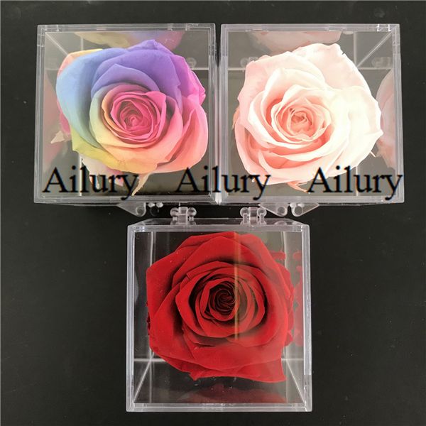 square eternal flowerhigh-transparency colorful preserved rosescarletpink flowers that never fadecar deskdecoration
square eternal flowerhigh-transparency colorful preserved rosescarletpink flowers that never fadecar deskdecoration