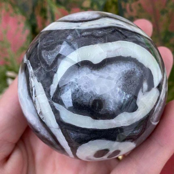 decorative objects & figurines natural shell stone crystal quartz ball reiki rehabilitation room decoration household gems
decorative objects & figurines natural shell stone crystal quartz ball reiki rehabilitation room decoration household gems