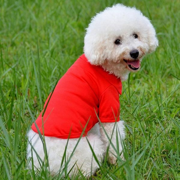 dog apparel creativ 2021 comfortable summer shirt for small cat clothes costume t-shirt durable pet accessory puppies
dog apparel creativ 2021 comfortable summer shirt for small cat clothes costume t-shirt durable pet accessory puppies