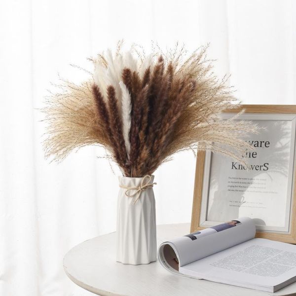 decorative flowers & wreaths 10pcs reed natural dried bouquets small pampas grass real flower plant stems material shooting props home decor
decorative flowers & wreaths 10pcs reed natural dried bouquets small pampas grass real flower plant stems material shooting props home decor