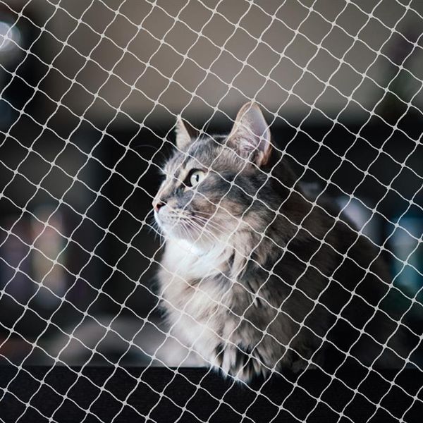 cat carriers,crates & houses 8x3m anti-cat net balcony protective uv resistance nylon pet fence dogs safety home gardening door puppy gate
cat carriers,crates & houses 8x3m anti-cat net balcony protective uv resistance nylon pet fence dogs safety home gardening door puppy gate
