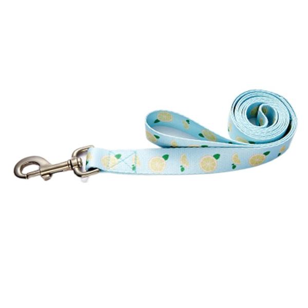 dog collars & leashes pet walking leash four seasons general small medium pets, strong durable nylon accessories wholesale distributor
dog collars & leashes pet walking leash four seasons general small medium pets, strong durable nylon accessories wholesale distributor