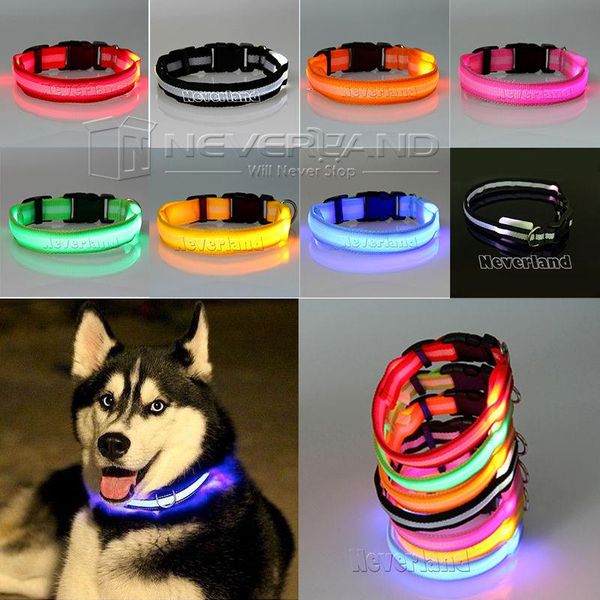 dog collars & leashes pet cat glow led collar flashing light up nylon night safety supplies
dog collars & leashes pet cat glow led collar flashing light up nylon night safety supplies