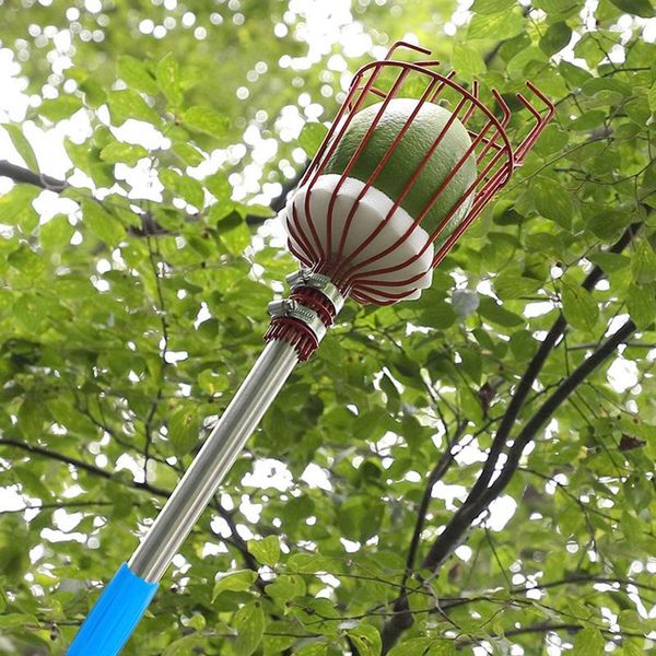 mirrors convenient garden fruit picker, detachable connecting pole harvest catcher accessory 2021 t-team x
mirrors convenient garden fruit picker, detachable connecting pole harvest catcher accessory 2021 t-team x