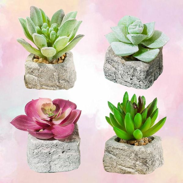 decorative flowers & wreaths 4pcs artificial small stone fake succulent plant office home deskdecors
decorative flowers & wreaths 4pcs artificial small stone fake succulent plant office home deskdecors