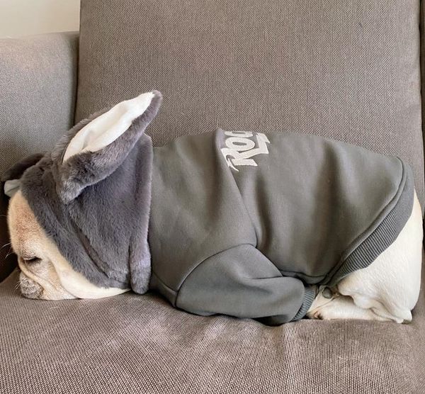 leisure dog sweater with hood soft hoodie cute clothes winter warm pet jacket costume hoodies bg50dh apparel
leisure dog sweater with hood soft hoodie cute clothes winter warm pet jacket costume hoodies bg50dh apparel