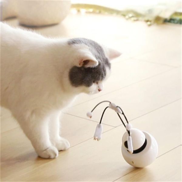 cat toy tumbler electric automatic funny cat stick feather bite resistant interactive educational kitty toy
cat toy tumbler electric automatic funny cat stick feather bite resistant interactive educational kitty toy