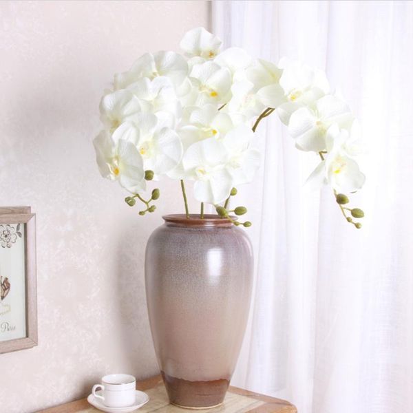 decorative flowers & wreaths 7 heads pu 3d phalaenopsis orchid household products vases for dining table home decor artificial wedding
decorative flowers & wreaths 7 heads pu 3d phalaenopsis orchid household products vases for dining table home decor artificial wedding