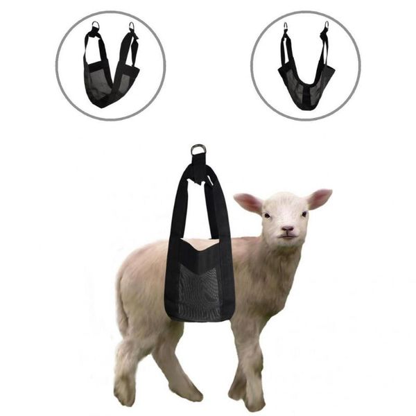 cat costumes universal breathable plastic livestock weighing strap compact easy to operate calf sling for farm weight scale
cat costumes universal breathable plastic livestock weighing strap compact easy to operate calf sling for farm weight scale