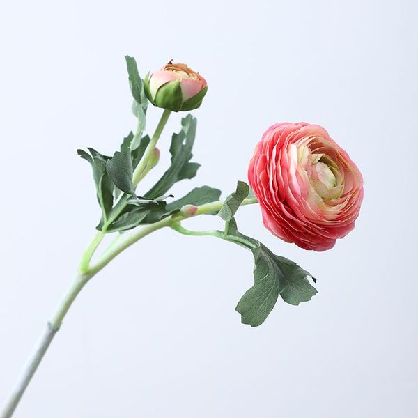 ins large ranunculus asiaticus rose artificial flowers for christmas fall wedding decoration flores artificiales decorative & wreaths
ins large ranunculus asiaticus rose artificial flowers for christmas fall wedding decoration flores artificiales decorative & wreaths