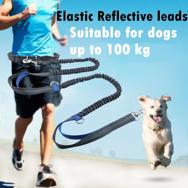 pet dog elastic reflective leashes belt running leash outdoor collar pets accessories jogging leads adjustable waist rope collars &
pet dog elastic reflective leashes belt running leash outdoor collar pets accessories jogging leads adjustable waist rope collars &
