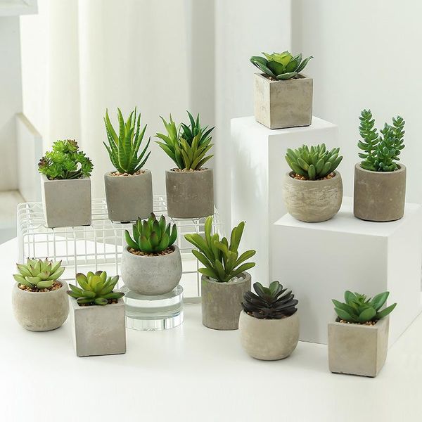 decorative flowers & wreaths artificial plants with pot mini bonsai fake succulent pots for home decoration el garden decor
decorative flowers & wreaths artificial plants with pot mini bonsai fake succulent pots for home decoration el garden decor