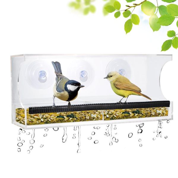 other bird supplies transparent weather proof feeder acrylic window house seed container holder feeding basket
other bird supplies transparent weather proof feeder acrylic window house seed container holder feeding basket