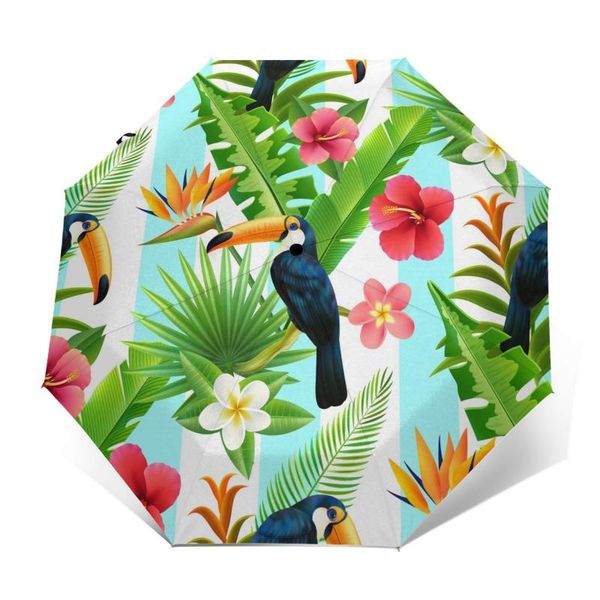 umbrellas wind resistant fully-automatic umbrella rainforest toucan rain 3 folding parasol travel car
umbrellas wind resistant fully-automatic umbrella rainforest toucan rain 3 folding parasol travel car