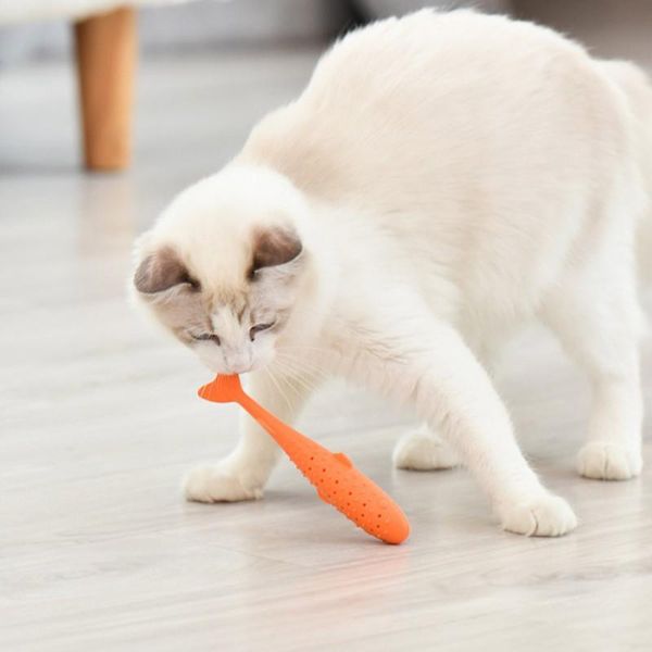 cat toys soft silicone mint fish toy catnip pet clean teeth toothbrush chew cats shaped interactive supplies
cat toys soft silicone mint fish toy catnip pet clean teeth toothbrush chew cats shaped interactive supplies