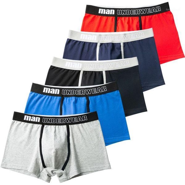 underpants 5pcs/lot european size boxers man undrewear pure cotton male underwear sports boxer shorts men breathable men's panties, Black;white
underpants 5pcs/lot european size boxers man undrewear pure cotton male underwear sports boxer shorts men breathable men's panties, Black;white