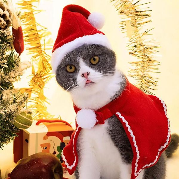 Christmas Decorations QIFU 2021 Puppy Cat Clothing Year Red Hat Pet Costume Kids For Home Xmas
Christmas Decorations QIFU 2021 Puppy Cat Clothing Year Red Hat Pet Costume Kids For Home Xmas