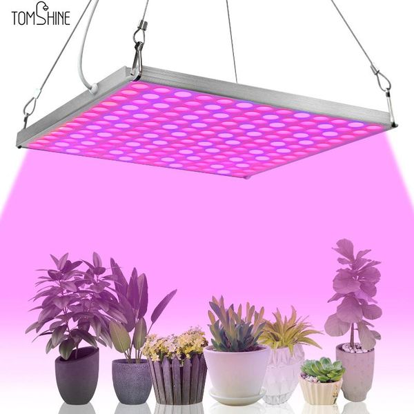 led grow light full spectrum growing for plants plant lighting lamp phytolamp lights
led grow light full spectrum growing for plants plant lighting lamp phytolamp lights