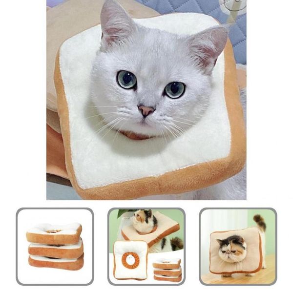 cat collars & leads soft protective collar pp cotton filling dog breathable hand washable wound healing pet
cat collars & leads soft protective collar pp cotton filling dog breathable hand washable wound healing pet