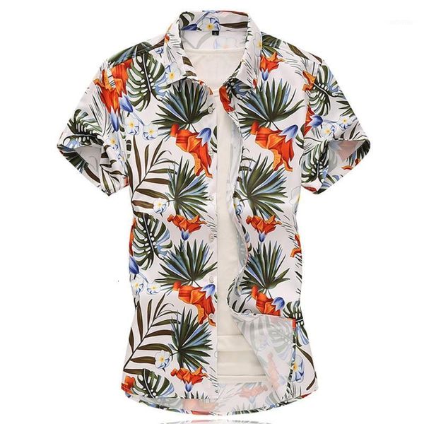 mens beach hawaiian shirt tropical summer short sleeve shirt men casual loose cotton button down shirts plus size1, White;black
mens beach hawaiian shirt tropical summer short sleeve shirt men casual loose cotton button down shirts plus size1, White;black