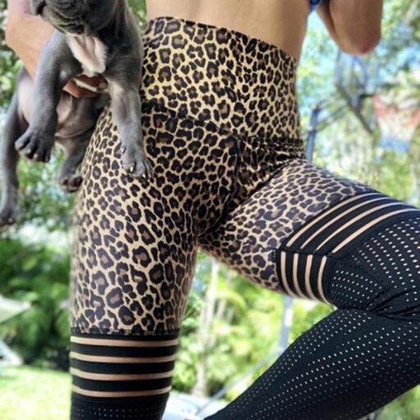 women's leggings women mesh gym push up high waist fitness female leopard print ankle-length breathable, Black
women's leggings women mesh gym push up high waist fitness female leopard print ankle-length breathable, Black