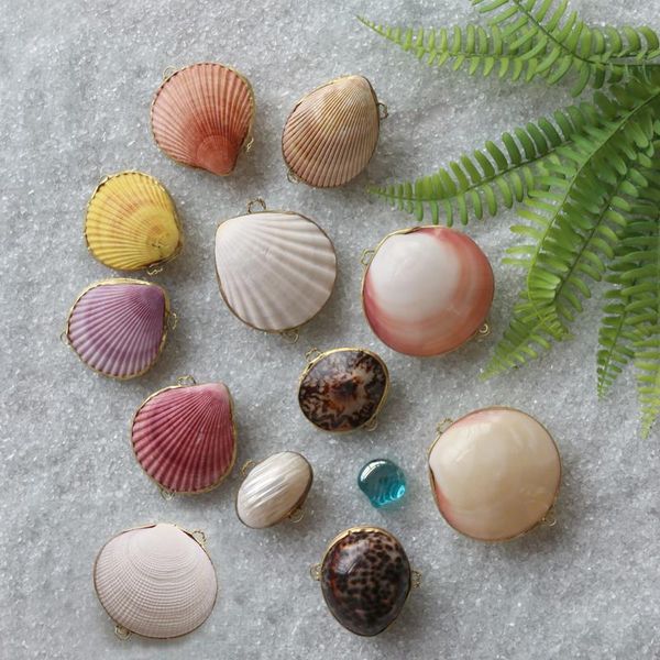 novelty items (1pcs/lot)shell jewelry box natural shell beach wedding ring bearer handmade crafts bridesmaid gift
novelty items (1pcs/lot)shell jewelry box natural shell beach wedding ring bearer handmade crafts bridesmaid gift