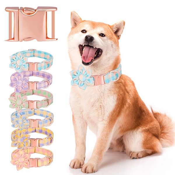 dog collars & leashes collar with flower accessory custom engraved printed id pet walking belt for small medium large dogs
dog collars & leashes collar with flower accessory custom engraved printed id pet walking belt for small medium large dogs