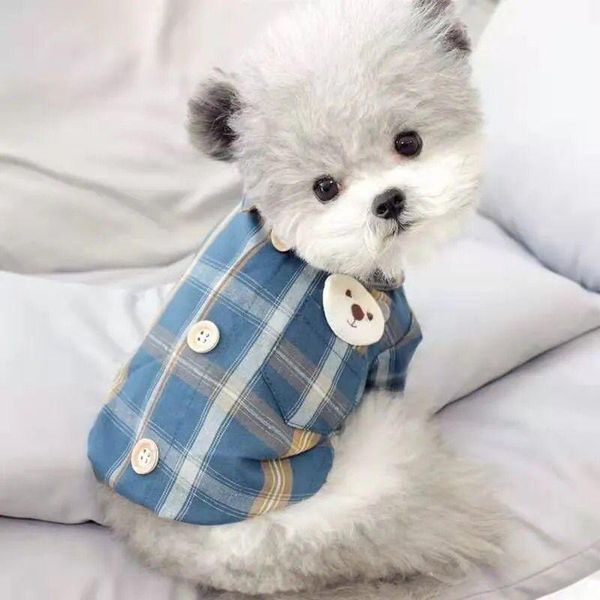 pet dog clothes small spring autumn style xxl shirt teddy bichon kawaii cotton pocket check thin apparel
pet dog clothes small spring autumn style xxl shirt teddy bichon kawaii cotton pocket check thin apparel