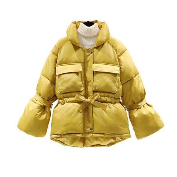 ladies autumn winter jacket women parkas thick warm lantern sleeve winter coat women jackets slim solid sweet jacket female 210416, Black
ladies autumn winter jacket women parkas thick warm lantern sleeve winter coat women jackets slim solid sweet jacket female 210416, Black