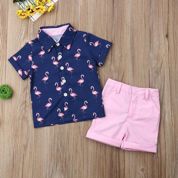 2pcs set toddler kid baby boys clothes flamingo print t shirt pink shorts pants outfits summer 1 6y, White
2pcs set toddler kid baby boys clothes flamingo print t shirt pink shorts pants outfits summer 1 6y, White