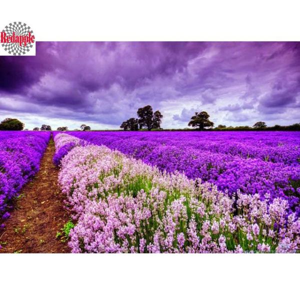 diamond painting 5d embroidery provence landscape diy lavender full round mosaic rhinestone home decor
diamond painting 5d embroidery provence landscape diy lavender full round mosaic rhinestone home decor