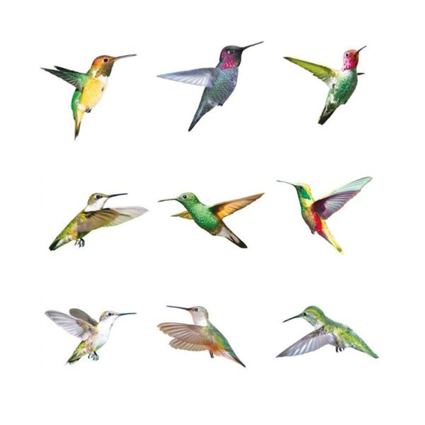 decorative objects & figurines 9pcs wall hummingbird decals bird sticker decor chic window decoration
decorative objects & figurines 9pcs wall hummingbird decals bird sticker decor chic window decoration