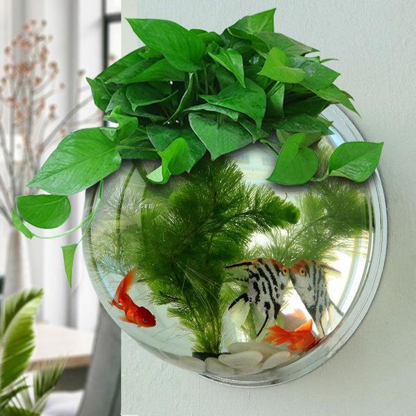 aquariums 2021 mini indoor creative wall hanging aquarium ecological living room desk acrylic goldfish tank
aquariums 2021 mini indoor creative wall hanging aquarium ecological living room desk acrylic goldfish tank