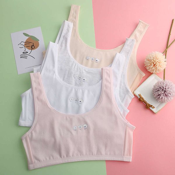 lingerie girl girl developing pure underwear junior and senior high school students' double layer cotton bump chest wrapped vest, Black;pink
lingerie girl girl developing pure underwear junior and senior high school students' double layer cotton bump chest wrapped vest, Black;pink