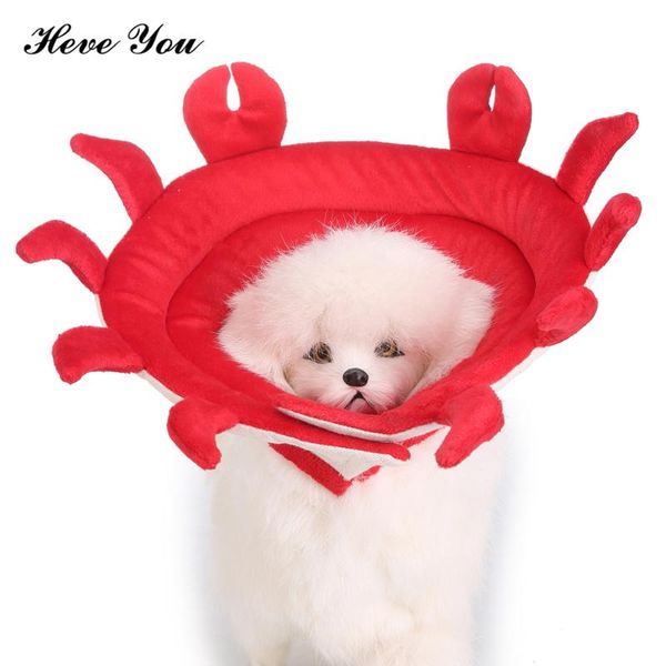 heve you dogs collar perro for dog neck wound healing prevent puppy lick pet elizabeth soft recovery collars & leashes
heve you dogs collar perro for dog neck wound healing prevent puppy lick pet elizabeth soft recovery collars & leashes