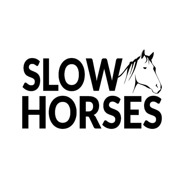 17*9.6cm slow horses vinyl decal sticker rear window car sticker cute and interesting fashion decals
17*9.6cm slow horses vinyl decal sticker rear window car sticker cute and interesting fashion decals