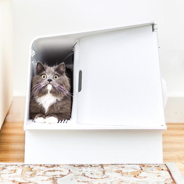 other cat supplies cabinet modern pet big litter box closed cute furniture litiere chat kit cleaning sandbox arenero gato large bedpans
other cat supplies cabinet modern pet big litter box closed cute furniture litiere chat kit cleaning sandbox arenero gato large bedpans