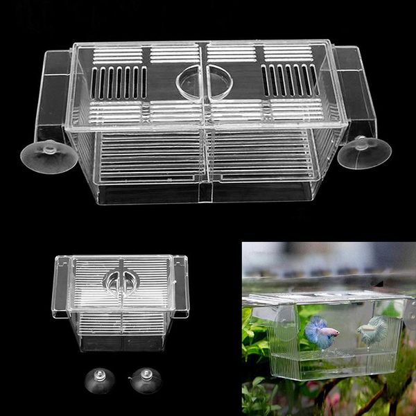 aquariums 2021 aquarium pet fish tank guppy double breeding breeder rearing box hatchery s/l
aquariums 2021 aquarium pet fish tank guppy double breeding breeder rearing box hatchery s/l