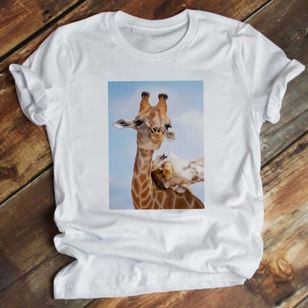 women's t-shirt giraffe basic t shirt women y2k harajuku short sleeve fashion european streetwear hipster vacation casual soft girl aes, White
women's t-shirt giraffe basic t shirt women y2k harajuku short sleeve fashion european streetwear hipster vacation casual soft girl aes, White