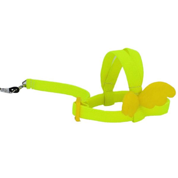 other bird supplies flying training rope anti-bite elastic parakeets 6-foot pigeons parrots portable nylon leash ultralight harnesses
other bird supplies flying training rope anti-bite elastic parakeets 6-foot pigeons parrots portable nylon leash ultralight harnesses