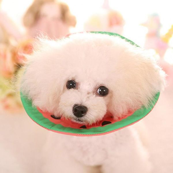 dog apparel style cute elizabeth collar cartoon printing design anti-licking cotton anti-bite protective circle for kitten supplies
dog apparel style cute elizabeth collar cartoon printing design anti-licking cotton anti-bite protective circle for kitten supplies