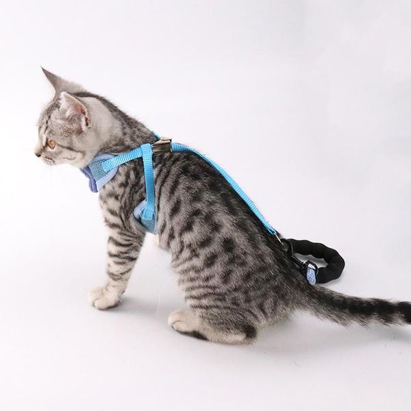 cat collars & leads bow shape leash automatic retractable rope pet tractor chain pets supplies walking scvd889
cat collars & leads bow shape leash automatic retractable rope pet tractor chain pets supplies walking scvd889