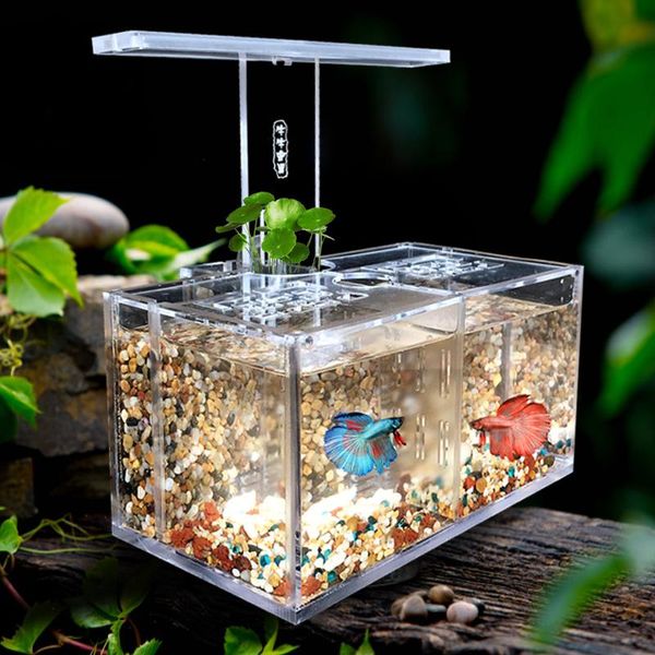 aquariums acrylic aquarium tank mini betta fish tanks circulating water breeding box sitting room office deskdecoration
aquariums acrylic aquarium tank mini betta fish tanks circulating water breeding box sitting room office deskdecoration