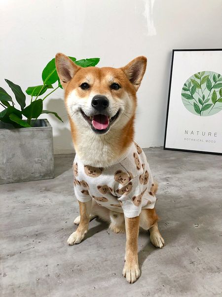 dog cloth warm in autumn and winter teddy fadu chenery small medium-sized dog sweater firewood
dog cloth warm in autumn and winter teddy fadu chenery small medium-sized dog sweater firewood