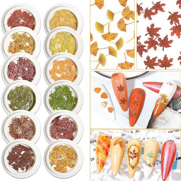 mixed dried leaves nail art diy bottle decoration preserved flower decorations 3d shell, Silver;gold
mixed dried leaves nail art diy bottle decoration preserved flower decorations 3d shell, Silver;gold