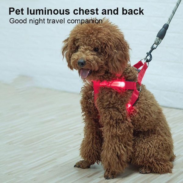 double sided transparent led flashing cat and dog universal chest strap harness products usb nylon collar vest collars & leashes
double sided transparent led flashing cat and dog universal chest strap harness products usb nylon collar vest collars & leashes