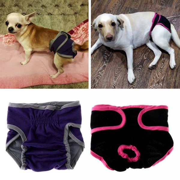 dog apparel 1pc pet female physiological pants puppy shorts breathable diaper underwear panties for small meidium girl dogs supplies
dog apparel 1pc pet female physiological pants puppy shorts breathable diaper underwear panties for small meidium girl dogs supplies