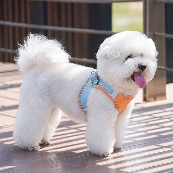 dog collars & leashes pet vest chest harness many size reflective breathable leash outdoor training safe accessories
dog collars & leashes pet vest chest harness many size reflective breathable leash outdoor training safe accessories